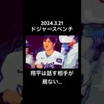 水原一平の居ないベンチ…寂しい…翔平、頑張って‼️ #大谷翔平 #大谷夫妻#大谷翔平速報 #大谷奥様#水原一平  #fyp #fypシ #dodgers #ドジャース #ohtani #shohei