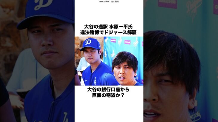 大谷の通訳 水原一平氏 違法賭博でドジャース解雇 #大谷翔平 #おおたにしょうへい #おおたにしよへい #mlb #大谷翔平の妻 #水原一平 #sports #news #shorts