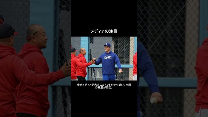 水原時間に関してロバーツ監督#大谷翔平 #shorts #水原一平 #嫁