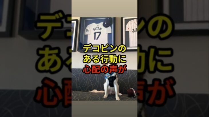 デコピンのある行動に心配の声が#大谷翔平 #野球 #ドジャース #shorts