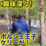 なんとジョーケリーが大谷に興味深々！ポルシェ寄贈のお礼か！　現地映像