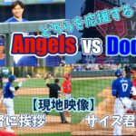 ついに来た。大谷選手、古巣のエンゼルスと初対戦！どっちを応援したらいいのか悩みました【現地映像】