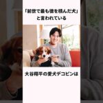 「前世で最も徳を積んだ犬」大谷翔平の愛犬デコピンに関する雑学 #野球 #大谷翔平 #雑学