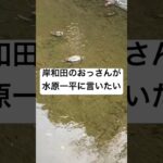 岸和田の荒ぶるおっさん、賭博の水原一平をヤジリまくる　#ショート