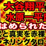 【チャネリングタロット】大谷翔平氏　水原一平氏　どちらがはめられた？　現状と真実を赤裸々に　チャネリング