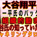 【チャネリングタロット】大谷翔平氏　逸平氏のバックに組織的動き？　大谷氏はどこまで知っていた？