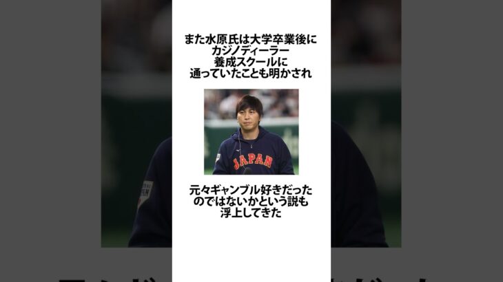 大谷翔平の通訳だった水原一平氏の学歴詐称疑惑に関するうんちく #雑学 #人物 #大谷翔平 #水原一平