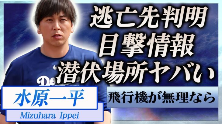 【衝撃】水原一平の潜伏場所が判明…目撃証言や韓国からバレずに逃亡した方法に言葉を失う…！『ドジャース』元通訳が子供を作らなかった本当の理由…賭博狂いを実は妻も知っていた真相に一同驚愕！