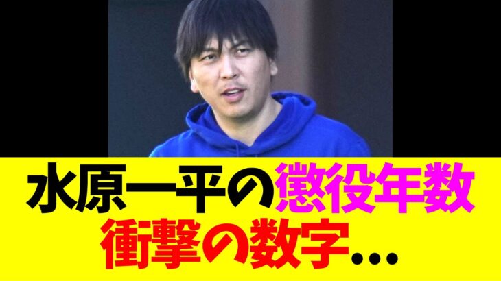 水原一平の懲役年数、衝撃の数字…