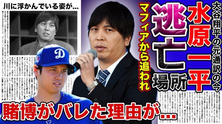 【衝撃】水原一平の逃亡場所が暴露された！？マフィアから追われている真相に一同驚愕…！大谷翔平を裏切った元通訳の違法賭博が判明した経緯に言葉を失う！！