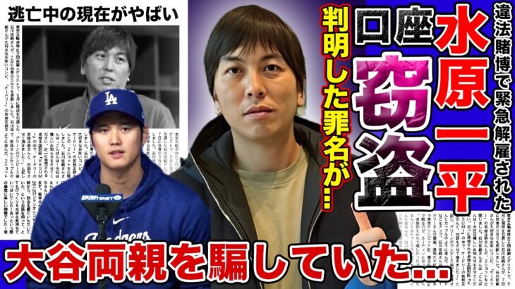 【衝撃】水原一平の罪名が判明！？大谷翔平を騙し続けた”詐欺”の真相…謎に包まれていた送金方法とは…大谷の両親を騙して行った衝撃の悪事に言葉を失う！‌