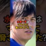 水原一平はマフィアに脅されているのかもしれない…