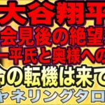 【チャネリングタロット】大谷翔平氏　会見後の絶望理由とは　一平氏と奥様への思い　運命の転機は既に来ていた　本音を赤裸々に