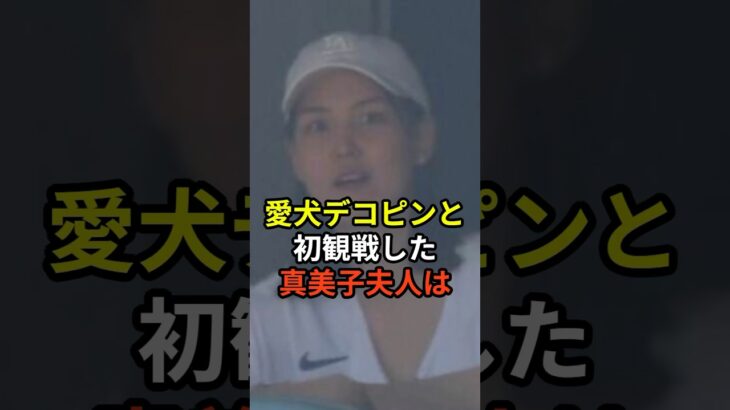 真美子夫人が愛犬デコピンと大谷翔平の本拠地開幕戦を初観戦