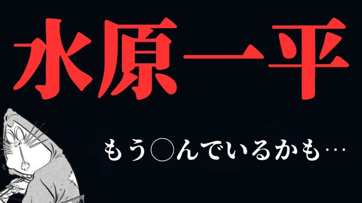 【作業用】水原一平の現在【メンシプ限定切り抜き】