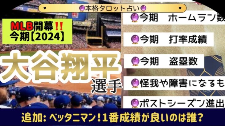 【タロット】今期の大谷選手の活躍を占いました‼️！😳😳とにかく応援📣🌈