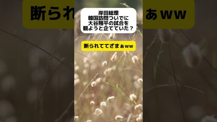 岸田総理、韓国訪問ついでに大谷翔平の試合を観戦しようとしていた？