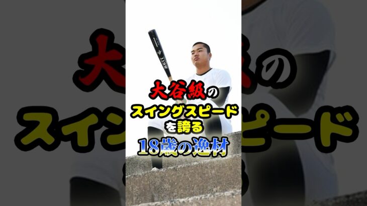 大谷翔平級のスイングスピードを誇る「18歳の逸材」に関する雑学　#野球 #高校野球 #甲子園 #プロ野球