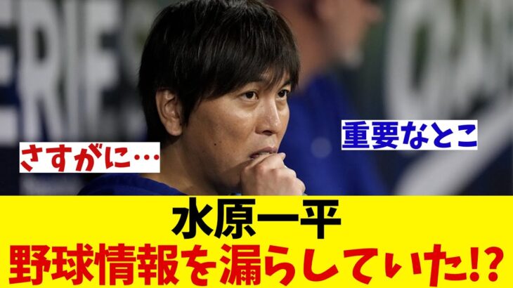 果たして水原一平氏は本当に野球賭博をしていないのか・・・【野球情報】【2ch 5ch】【なんJ なんG反応】