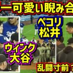 目撃‼️可愛過ぎる睨み合い🤣乱闘寸前の場面で松井裕樹の挨拶に大谷翔平がウィンク🤩【現地映像】4/13vsパドレス ShoheiOhtani Dodgers