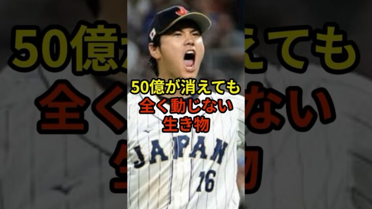 50億なんて全く問題ない#大谷翔平 #野球 #ドジャース #shorts