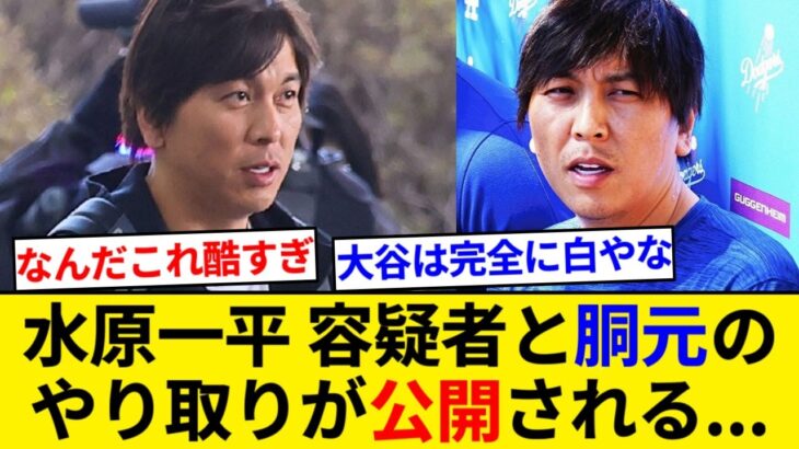 水原一平容疑者と胴元のやり取りが公開される… 内容がヤバすぎるとネット民もドン引き【5chまとめ】【なんJまとめ】