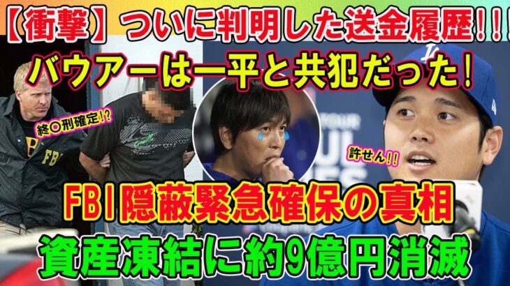 【衝撃】ついに判明した送金履歴!!! バウアーは一平と共犯だった!FBI隠蔽緊急確保の真相 「資産凍結に約9億円消滅」…衝撃の中身に一同驚愕 !!