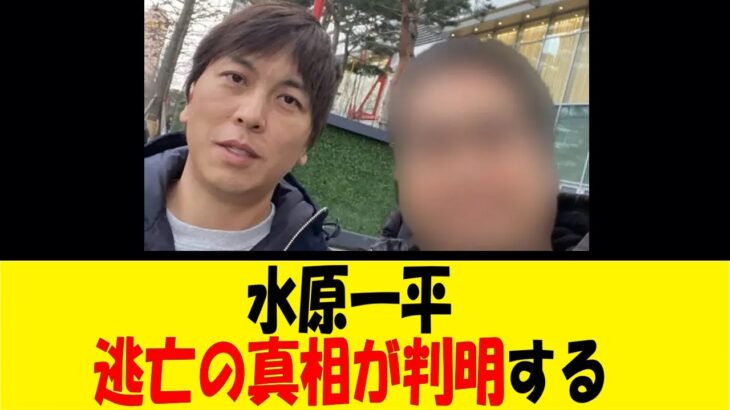 水原一平、逃亡の真相が判明する【反応集】【野球反応集】【なんJ なんG野球反応】【2ch 5ch】