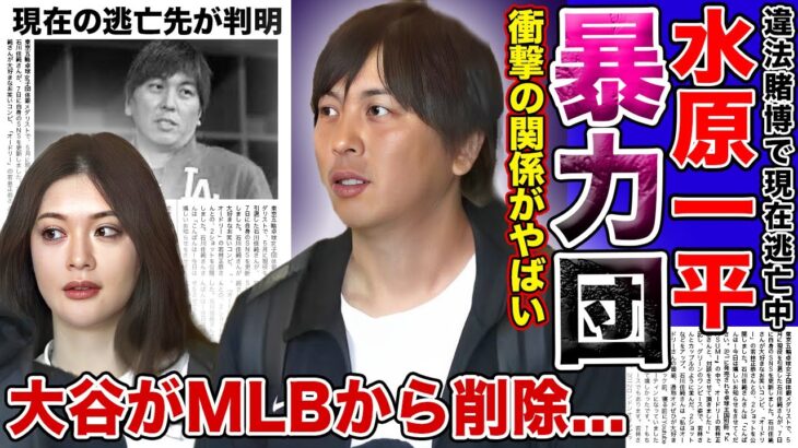 【衝撃】大谷翔平の元通訳・水原一平妻の正体・衝撃の経歴が判明…！！黒い噂や暴力団との関係に驚きを隠せない…！大谷翔平がMLBからすでに削除されていた本当の理由とは！？