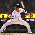 【別格】打撃能力がエグすぎる最強打者 フアン・ソトという怪物 MLB Juan Soto / New York Yankees