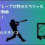 ベストプレープロ野球スペシャルを楽しむ動画（WBCチーム）②