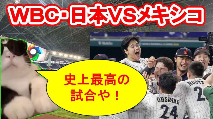 【猫ミーム】猫ミームで分かるWBCの日本vsメキシコ