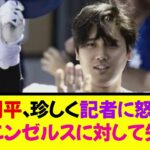 大谷翔平、珍しく記者に怒る「それはエンゼルスに対して失礼」《なんj反応集》