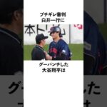 「ブチギレ審判白井一行にグーパンチした」大谷翔平に関する雑学　#大谷翔平  #ドジャース  #野球  #shoheiohtani