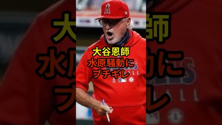 大谷恩師が激怒#大谷翔平 #野球 #水原一平 #short