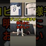 デコピンの様子が明らかにおかしい#大谷翔平 #野球 #ドジャース #shorts