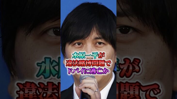 【水原一平】水原一平が野球賭博問題でドバイに逃亡か #水原一平 #水原通訳 #大谷翔平