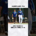 #大谷翔平 #水原一平 #友情 #エピソード #ドジャース #メジャーリーグ #雑学