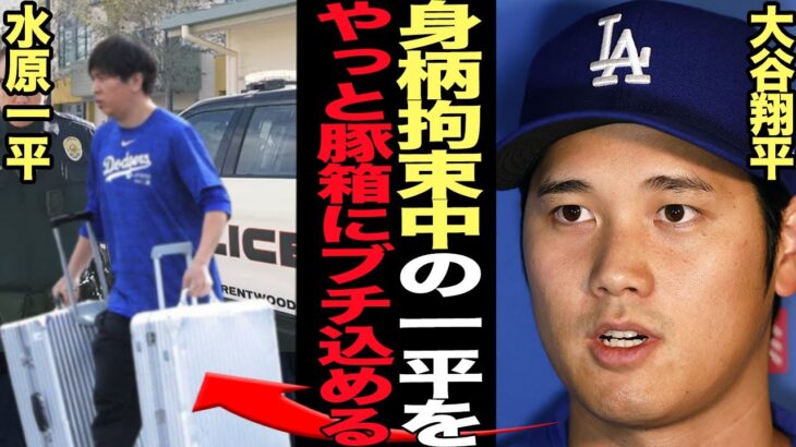 水原一平が正式に逮捕、身柄拘束状態の現在に衝撃…米メディアがスクープ！違法無断名義変更が発覚、驚愕の手口、行方不明状態だった理由に驚きを隠せない…【芸能】