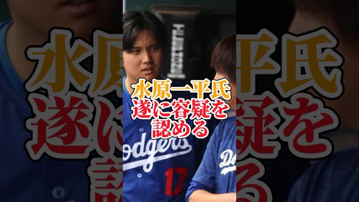 大谷選手の元通訳水原一平氏遂に容疑を認める方針　#大谷翔平 #水原一平 #野球 #大谷翔平海外の反応最新