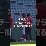 大谷翔平大爆笑！水原一平氏の大遠投！ #大谷翔平 #水原一平 #二刀流