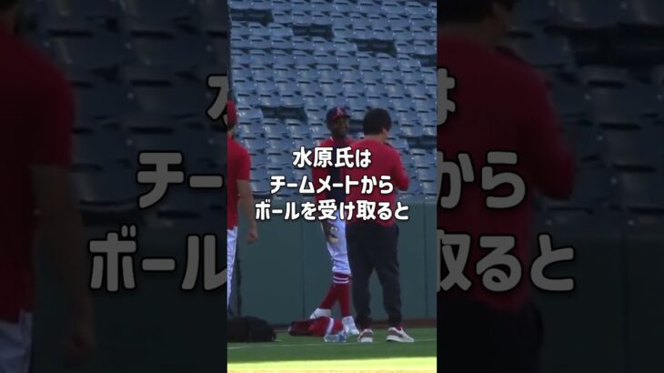 大谷翔平大爆笑！水原一平氏の大遠投！ #大谷翔平 #水原一平 #二刀流