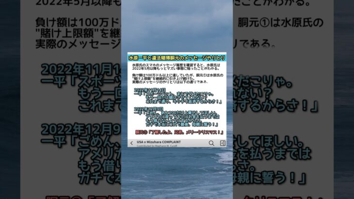 【ガチクズ】ついに水原一平氏と違法賭博の胴元のメッセージやり取りが公開されたので、重要な箇所を訳しました