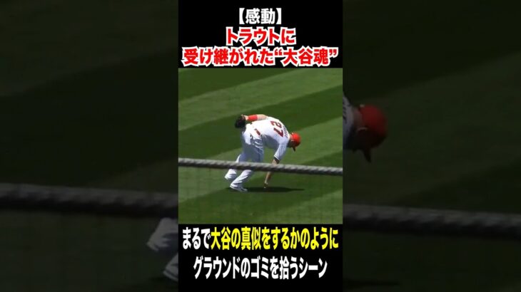 【大谷翔平が残したもの…トラウトがゴミ拾い】