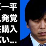 【驚愕】水原一平の愛人が発覚…愛人に無断送金してハワイに別荘を購入していた真相に驚きを隠せない…『大谷翔平』の２４億の明らかになった行方がヤバすぎた…