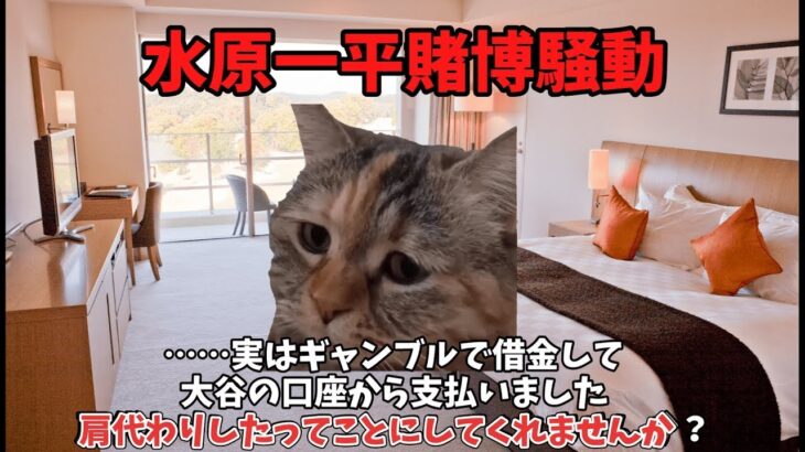 【再アップ版】猫ミームでわかる水原一平賭博騒動【誤字修正】#猫マニ #猫ミーム