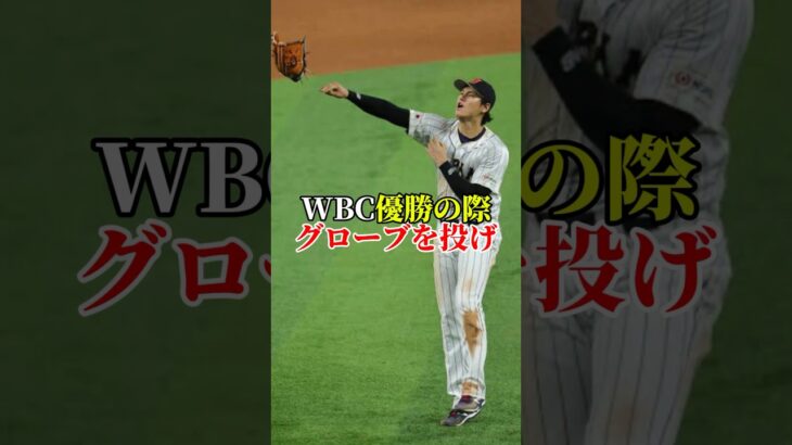 大谷翔平スゴ雑学#大谷翔平 #大谷 #水原一平 #wbc