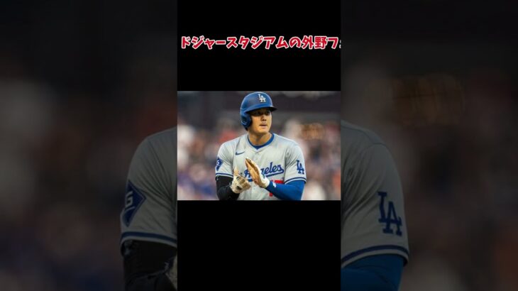 大谷翔平に「1089億円は安すぎた」　1か月半で9社目… #野球 #プロ野球 #雑学