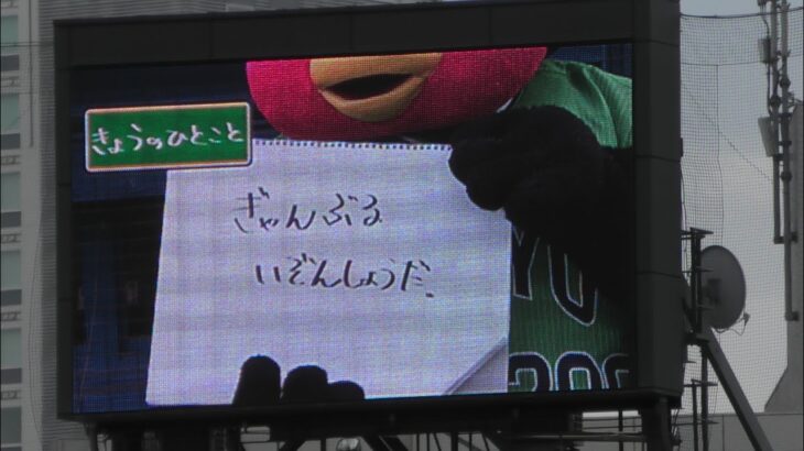 つば九郎、母の日でも水原一平氏を玩具にする 20240512 今日の一言より