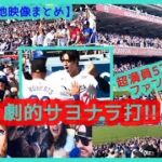 ⚾大谷翔平 劇的サヨナラ打で超満員5万2656人ファン総立ち！ドジャスタが揺れるｗ【現地映像まとめ】（2024.5.20 Dodgers 3-2 Reds）